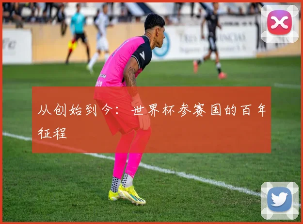 从创始到今：世界杯参赛国的百年征程