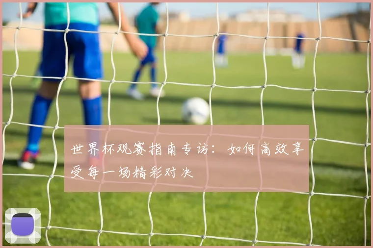 世界杯观赛指南专访：如何高效享受每一场精彩对决