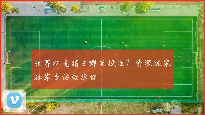 世界杯竞猜去哪里投注？资深玩家独家专访告诉你