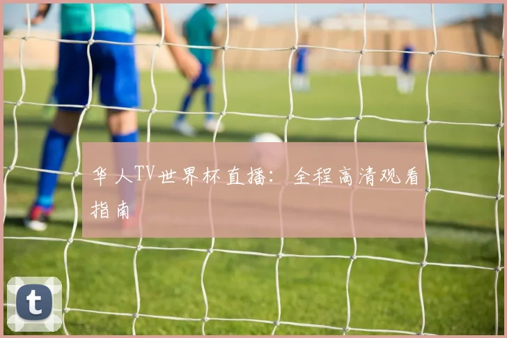 华人TV世界杯直播：全程高清观看指南