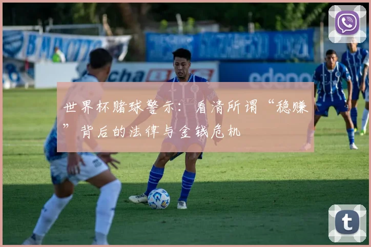 世界杯赌球警示：看清所谓“稳赚”背后的法律与金钱危机